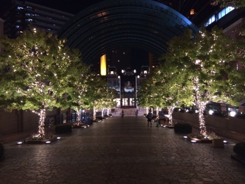 イルミネーション施工F1-1