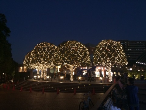 イルミネーション施工F1-3