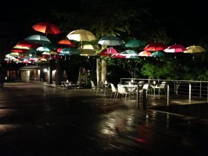 IMG_5667